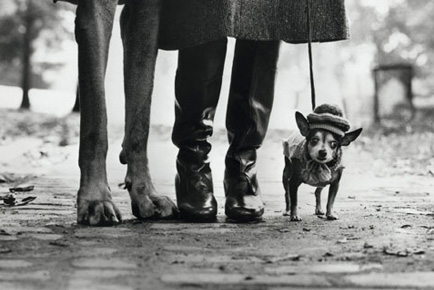 Elliot Erwitt